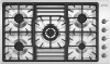 PGF95-4_V1