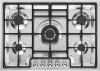 PGF75-4_V1